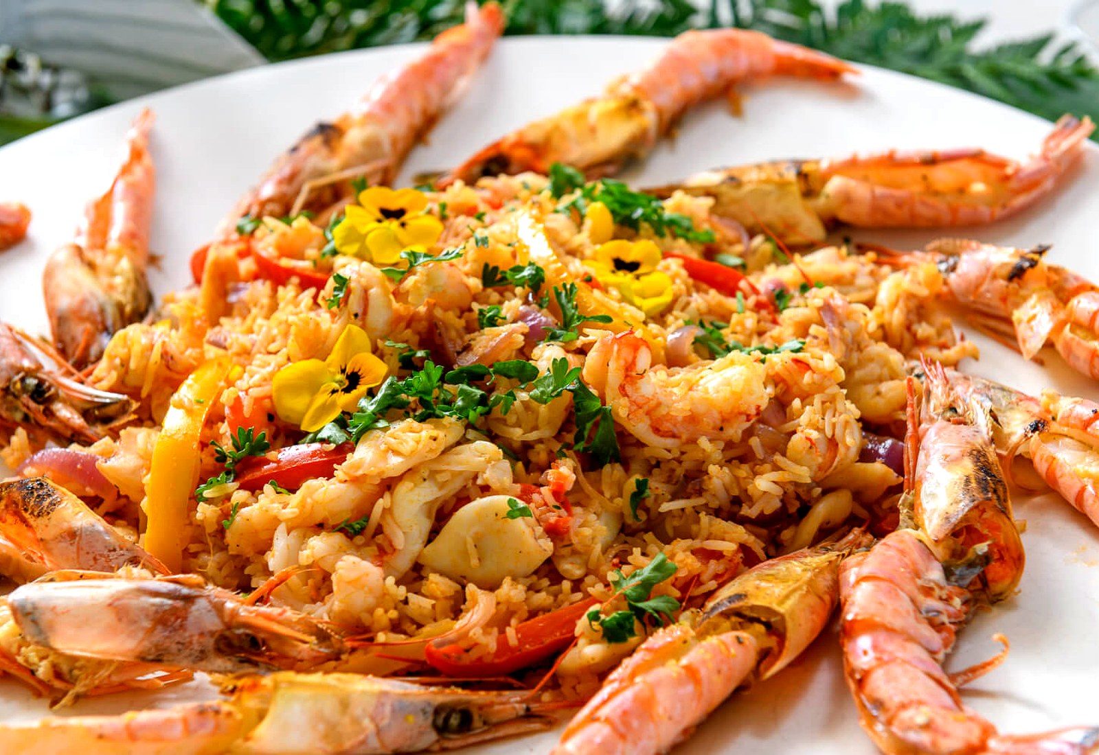 Seafood platter